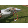 AtomRC Killer Whale V2 KIT