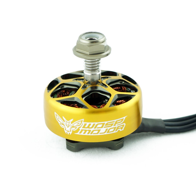 RCinpower Wasp Major 22.6-6.5 2420Kv