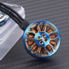 Skystars Koko 2004 2900Kv (2 Stck.)