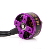 DYS Storm 2300kv