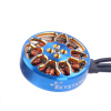 Skystars Koko 2004 2900Kv (2 Stck.)