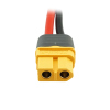 Amass XT60 Buchse mit 12AWG Kabel 10cm