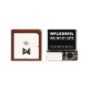 Walksnail WS-M181 GPS mit Kompass